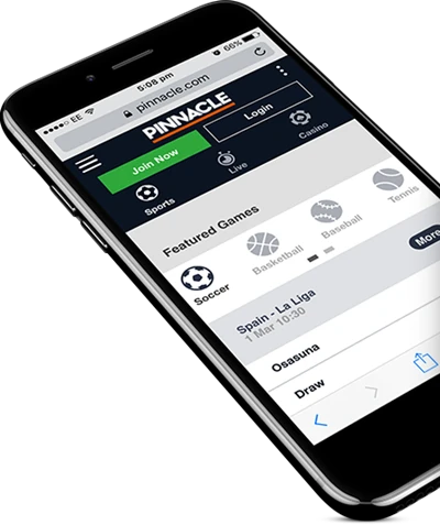 Representation of Pinnacle's Mobile view